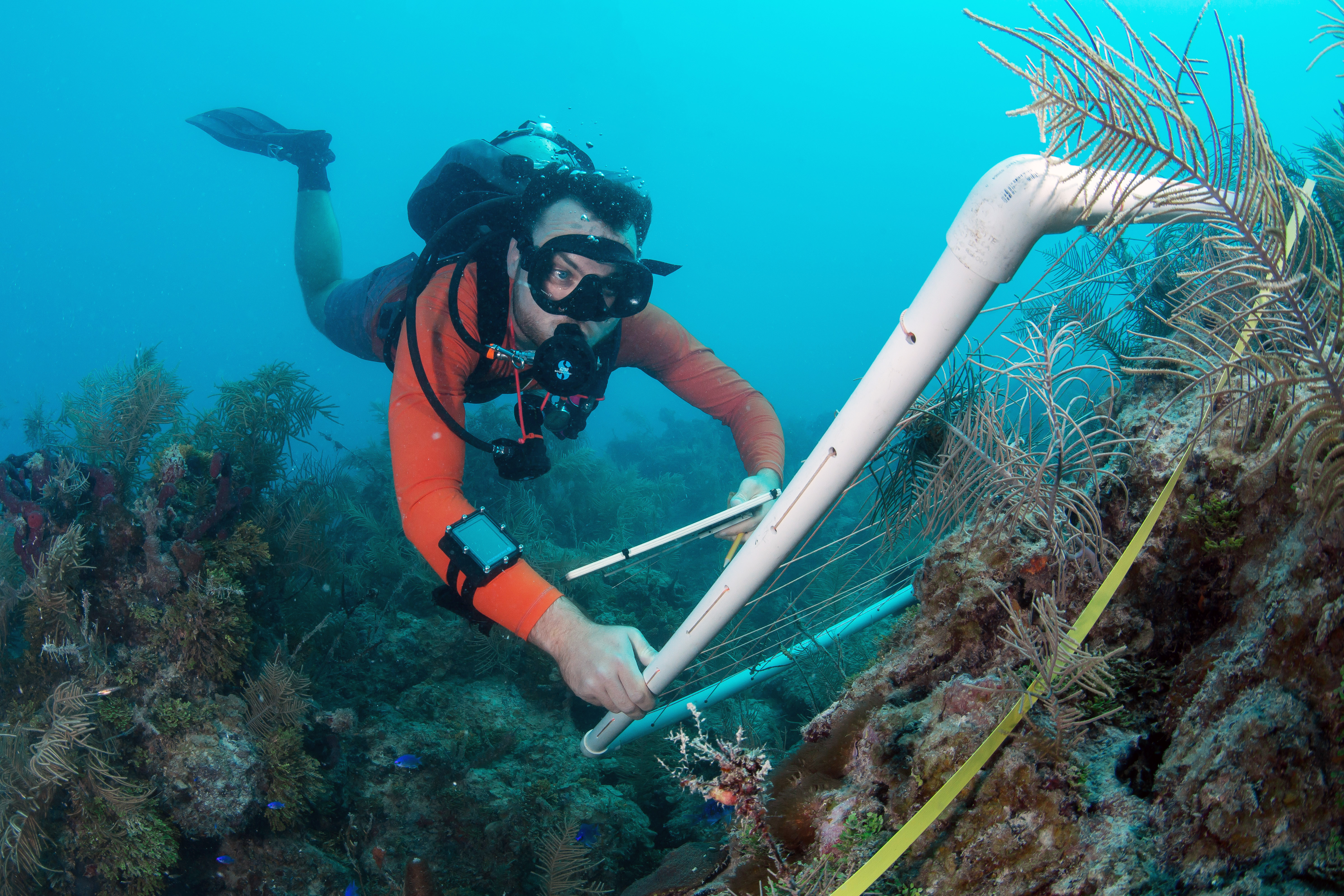 Patrick M Kiel conducting carbonate budget surveys at Dry Tortugas National Park using a quadrat. Patrick M Kiel doing science